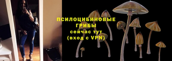 прущие крисы Ростов