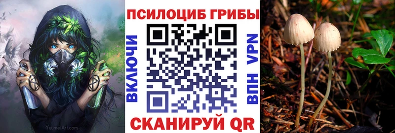 как найти закладки  Княгинино  Галлюциногенные грибы мухоморы 