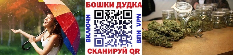 Бошки Шишки план купить цена Княгинино